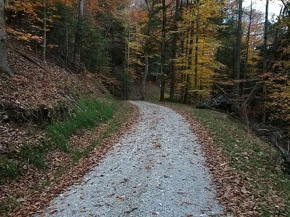3rd image of 2112 Ky Route 172