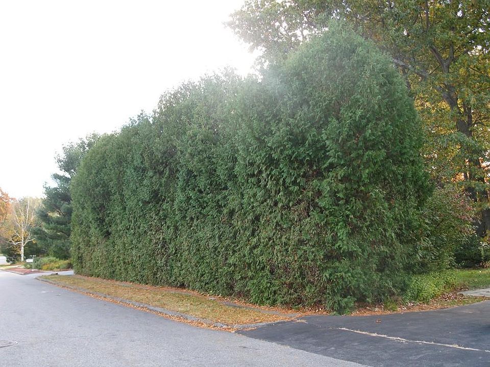 2nd image of 7 Dawson Cir