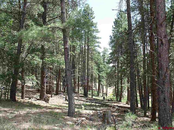 5th image of 234 Pine Top Dr