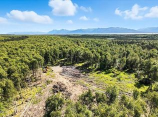 13964 W Little Jack Ave, Wasilla, AK 99623