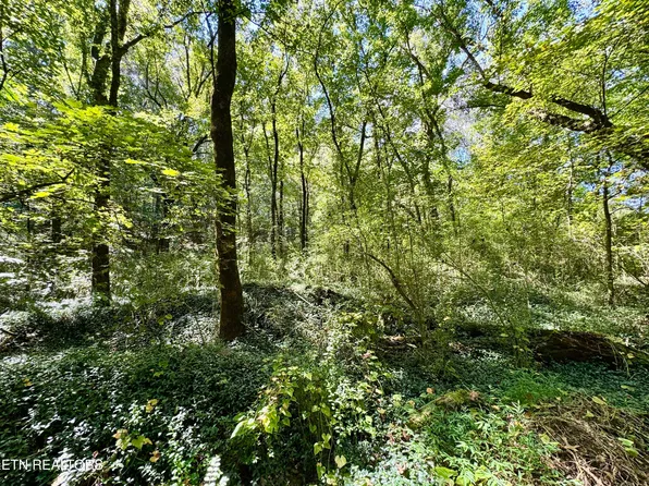 Randolph Fridley Rd, Sweetwater, TN 37874
