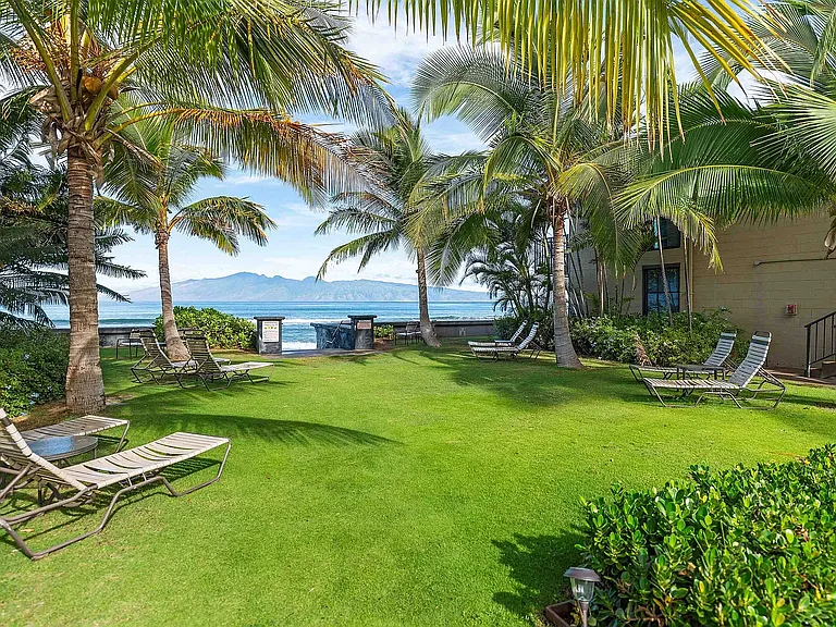 3559 Lower Honoapiilani Rd #2G — Photo 29