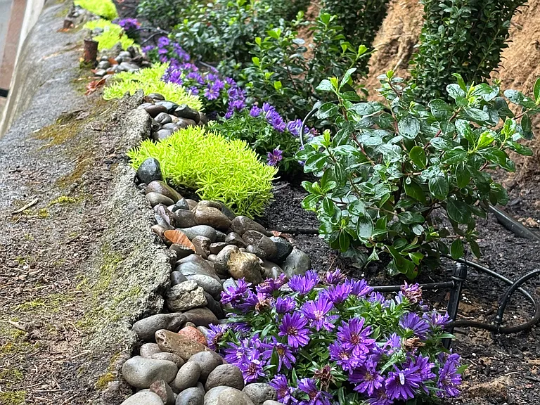 Low maintenance landscaping creates a peaceful outdoor escape.