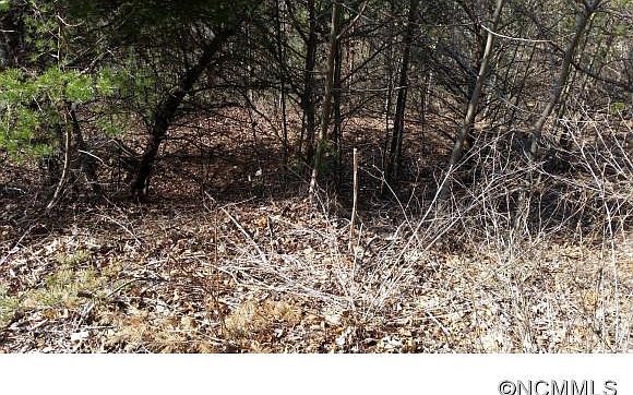 2nd image of 17 Red Plum Ln