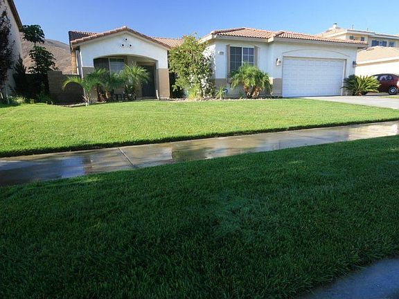 Green grass well groomed
