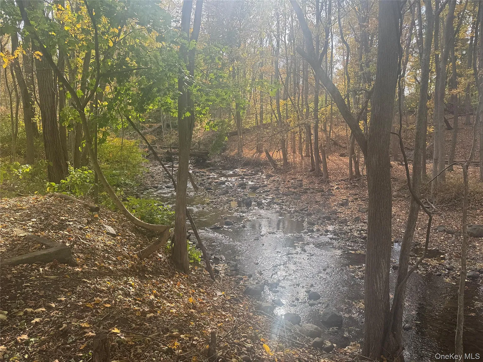 2637 State Route 208 photo 1