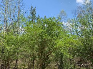 0 Cahaba Hill Rd, Brierfield, AL 35035