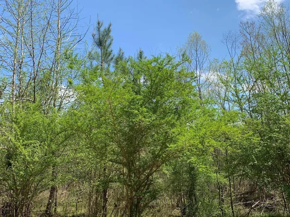 0 Cahaba Hill Rd, Brierfield, AL 35035