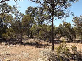 3323 Saw Mill Ridge Loop, Heber, AZ 85928