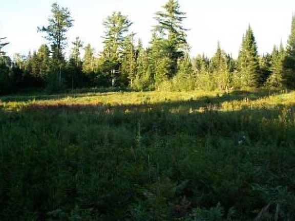 3rd image of 61394 FOREST RD 1276