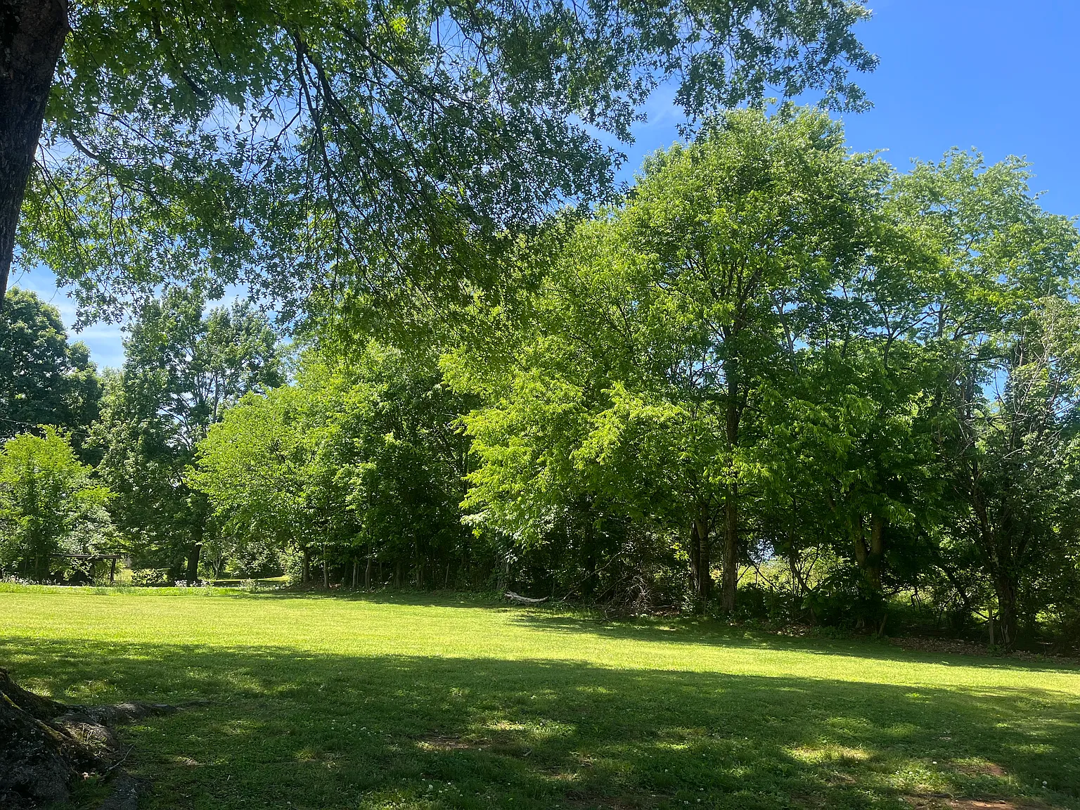 1 bed, 750 sqft, $1,100 — Photo 1