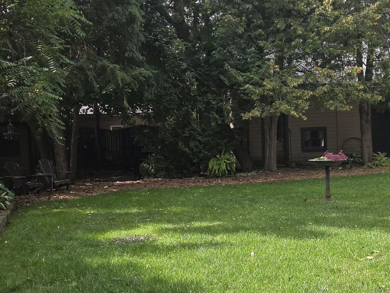 2 bed, $2,300 — Photo 4