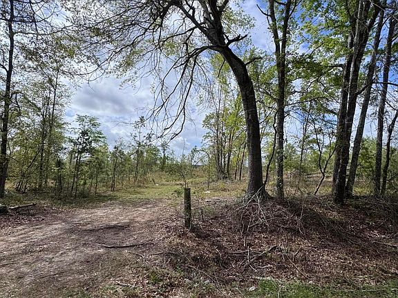 3rd image of 1508 Hephzibah - Mcbean Road