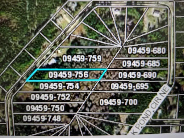 TBD NE Oak Pond Cir, Steinhatchee, FL 32359