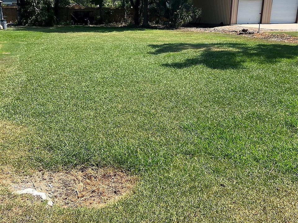 2nd image of Shadylawn Ave