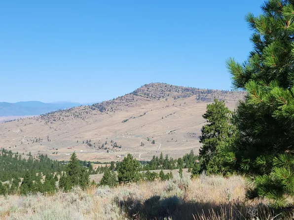 Reeves Basin Rd, Tonasket, WA 98855