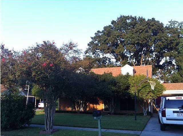1st image of 804 Plaza Village Dr