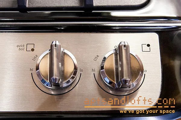 Rented by aptsandlofts.com | media 19