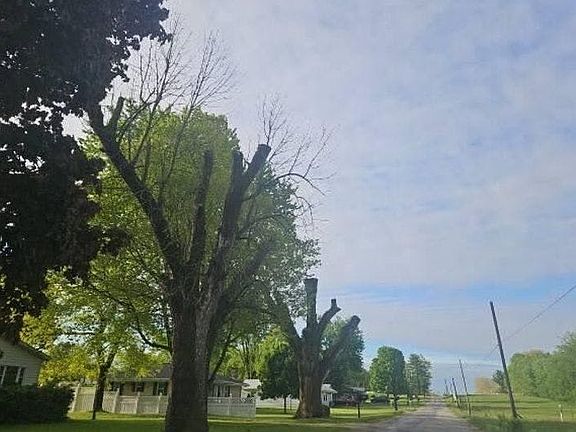 5th image of 1443 S Base Rd