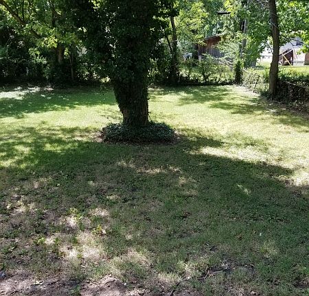 3rd image of 10447 Castle Dr