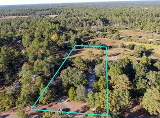 140 Andy Nowling Rd, Defuniak Springs, FL 32433