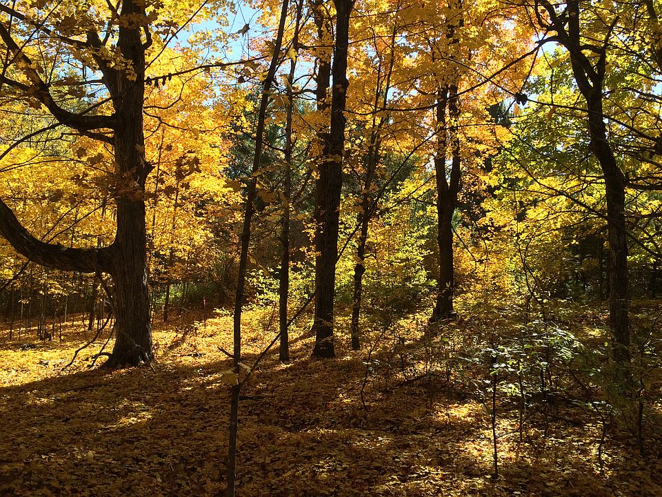 1st image of 9875 Evergreen Drive #Lot 3