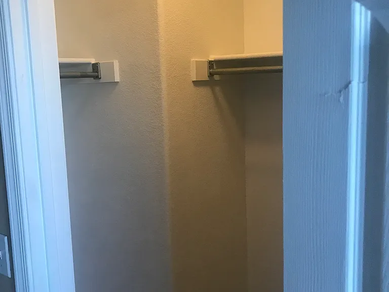 Master Walk-in Closet 2-2