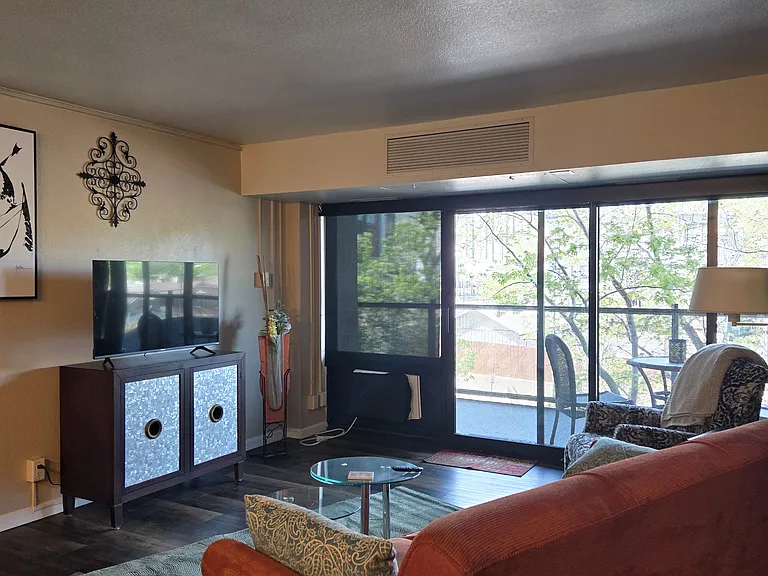 417 E Kiowa St #304 — Photo 8