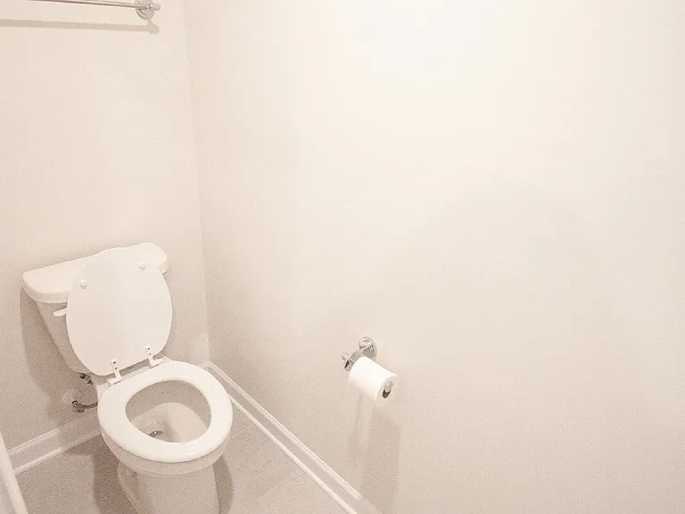 4244 Falls Oaks St — Photo 19
