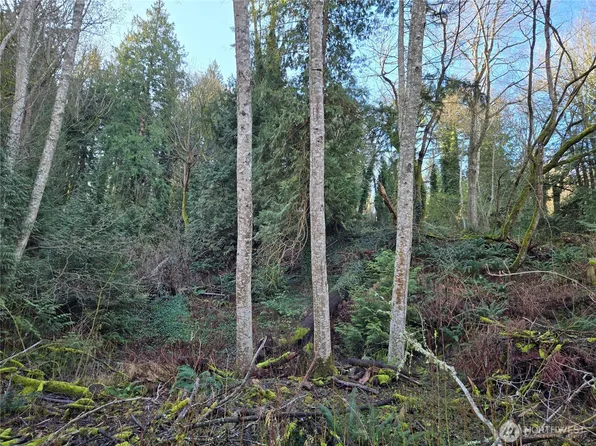 1835 Roosevelt Way, Point Roberts, WA 98281