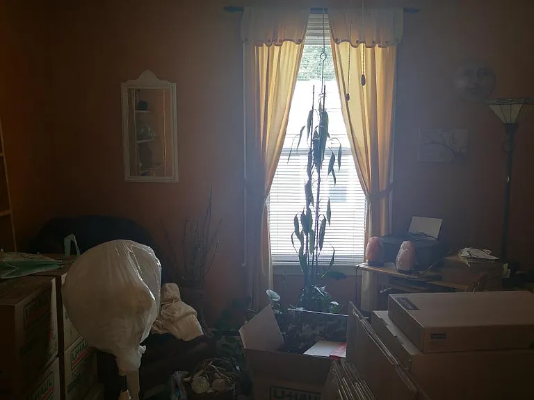50 Dana Ct #3 — Photo 2