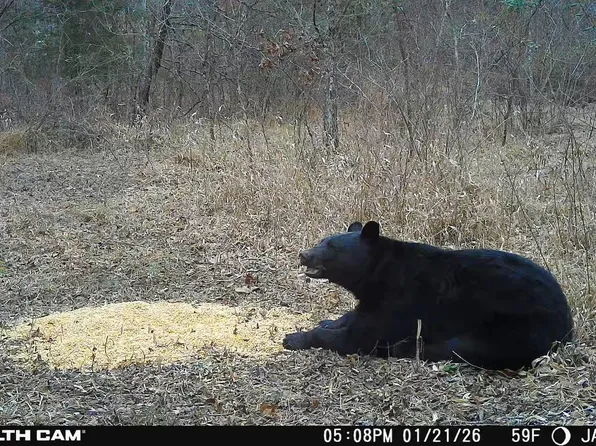 450 State Highway 542, Jackson, KY 41339