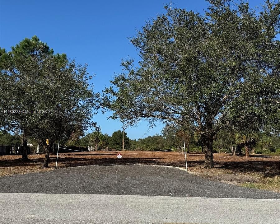2nd image of 260 S Cabbage Palm St