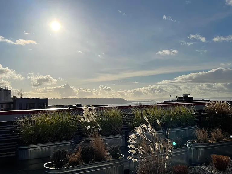 Queen Anne Flats — Photo 19