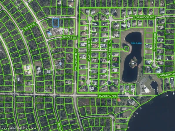 3218 Oriole Pl, Lake Placid, FL 33852