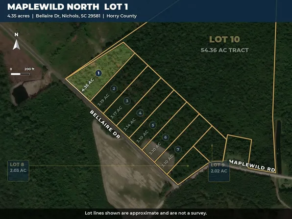 TBD Bellaire Dr. Lot 1, Nichols, SC 29581