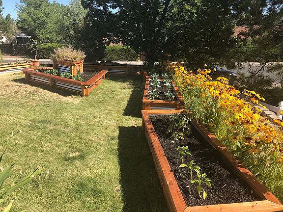 Custom built veggie garden