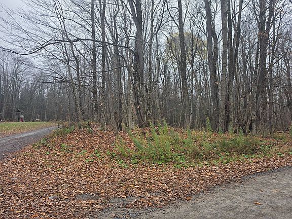 2nd image of 0 Salmon River Rd