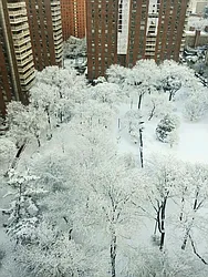 Sold by Perry Associates NYC Inc