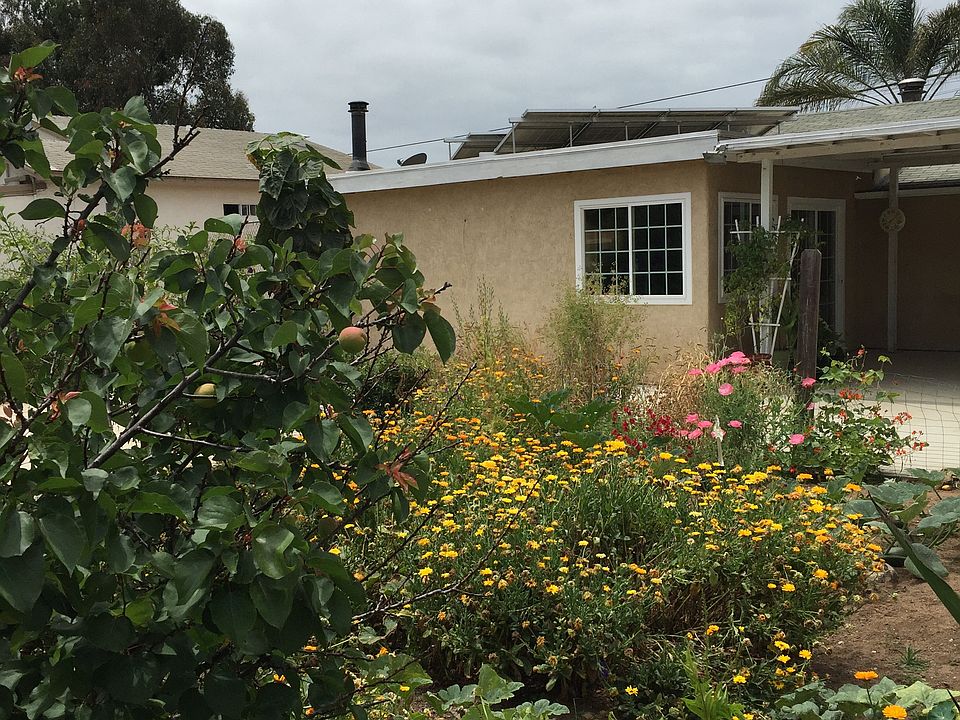 Back yard