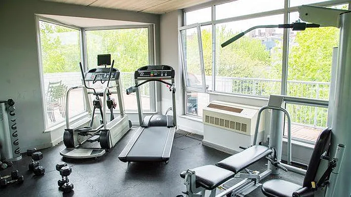 Rented by Bold New York | media 13