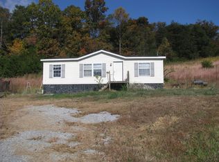 115 Mary Lamons Rd, Afton, TN 37616