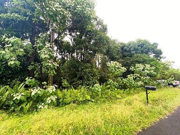 2nd image of 12-4375 Pahoa Kalapana Rd Lot 12-A