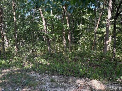 56 Turkey Trl, New Florence, MO, 63363
