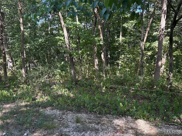 56 Turkey Trl, New Florence, MO 63363