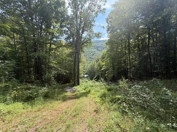 0 Snake Hollow Rd Lot Wp001, Sneedville, TN 37869