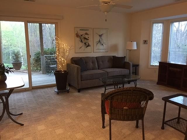 Cozy furnished living area with lots of natural light