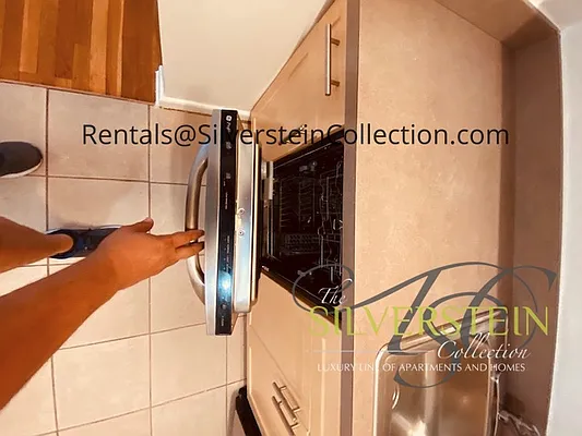 Rented by Silverstein Collection LLC  | media 22