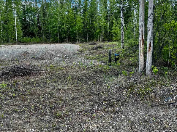 L3 Remington Rd, Delta Junction, AK 99737