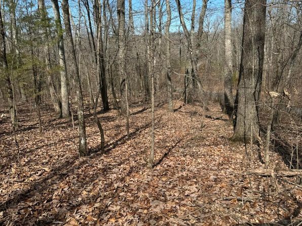 975 County Road 316 #139, Niota, TN 37826